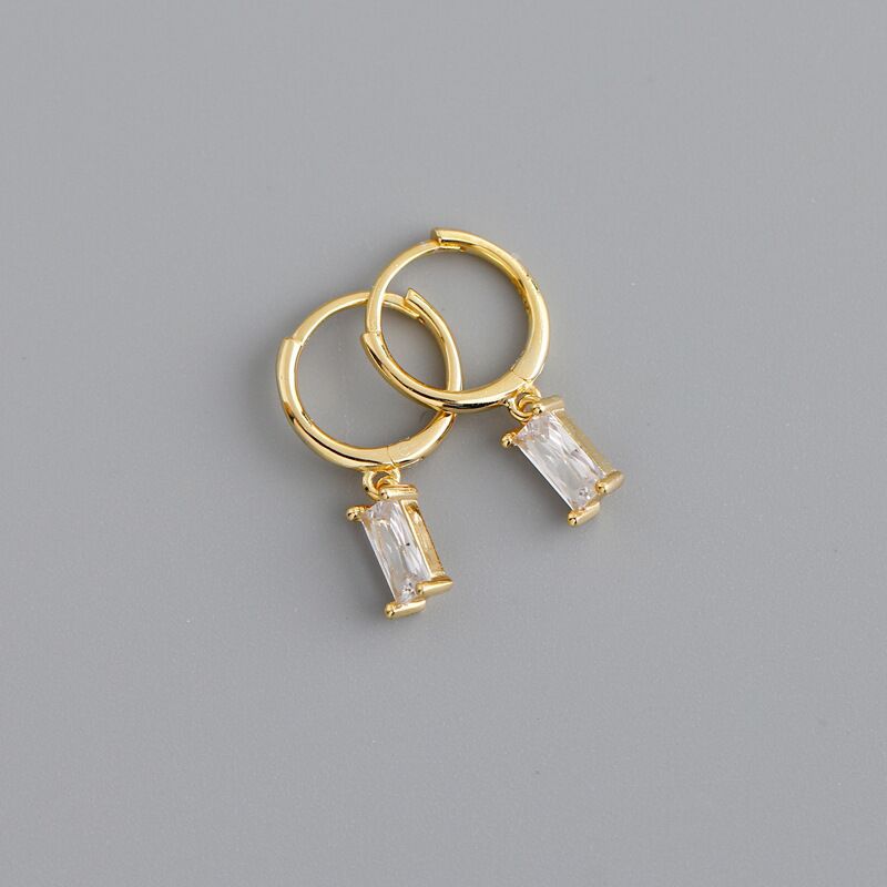 Belle Stainless Steel Crystal Hoop Earrings